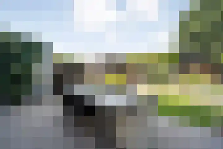 Dopheide 11 Steenwijk thumbnail 39