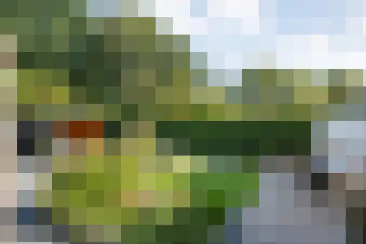 Dopheide 11 Steenwijk thumbnail 40