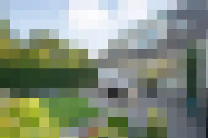 Dopheide 11 Steenwijk thumbnail 41