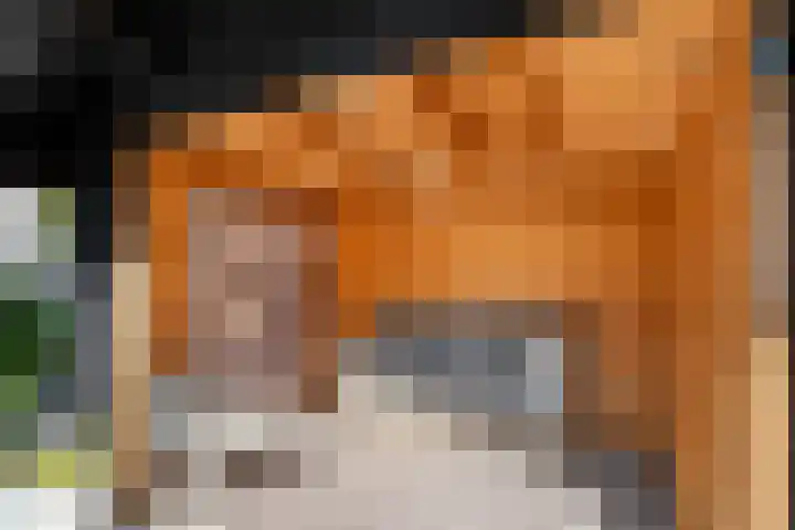 Dopheide 11 Steenwijk thumbnail 43