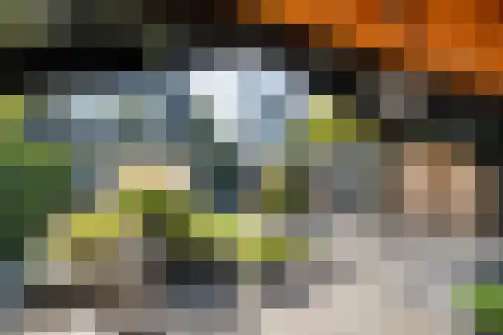 Dopheide 11 Steenwijk thumbnail 44