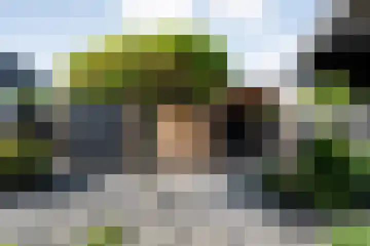 Dopheide 11 Steenwijk thumbnail 45