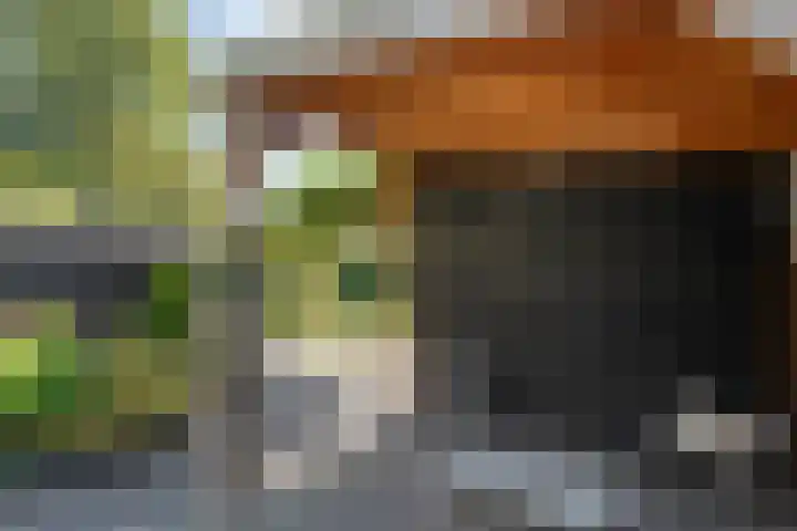 Dopheide 11 Steenwijk thumbnail 46