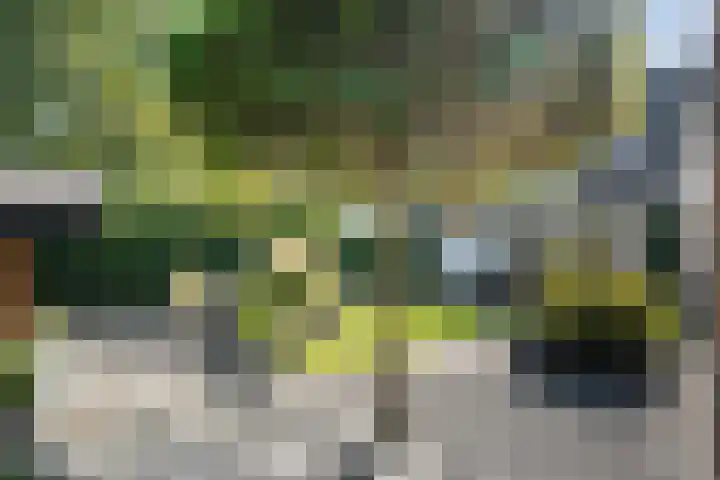 Dopheide 11 Steenwijk thumbnail 47