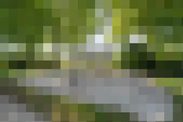 Dopheide 11 Steenwijk thumbnail 49