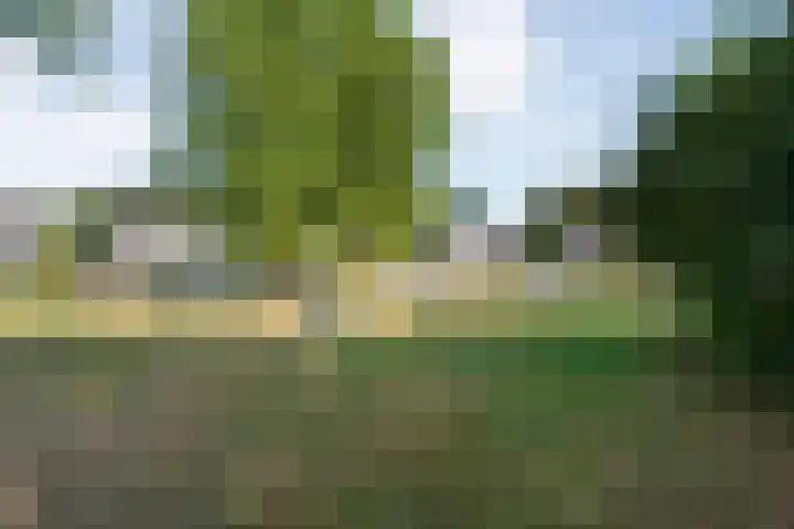 Dopheide 11 Steenwijk thumbnail 50
