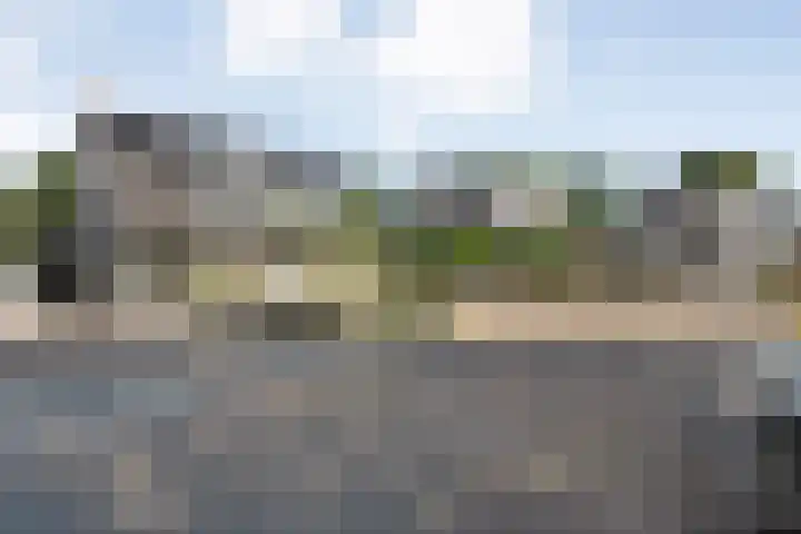 Dopheide 11 Steenwijk thumbnail 6