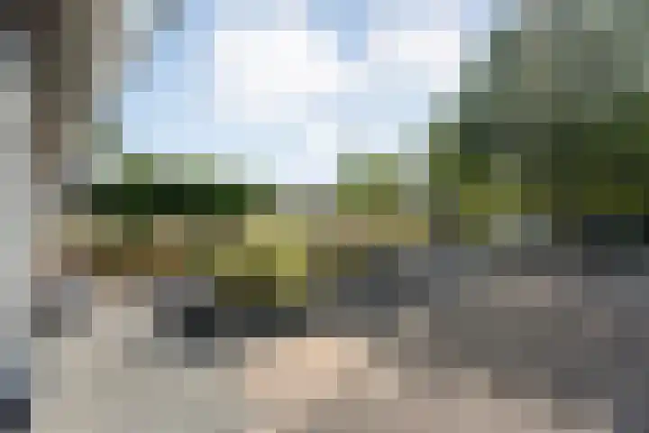 Dopheide 11 Steenwijk thumbnail 8