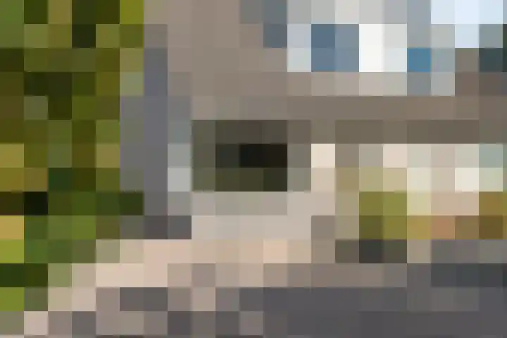 Dopheide 11 Steenwijk thumbnail 9
