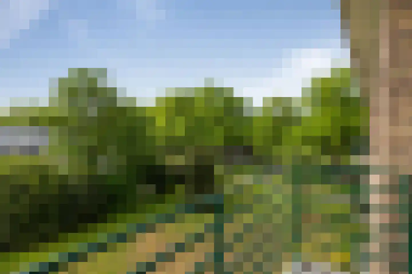 Dopheide 12 Emmen thumbnail 15