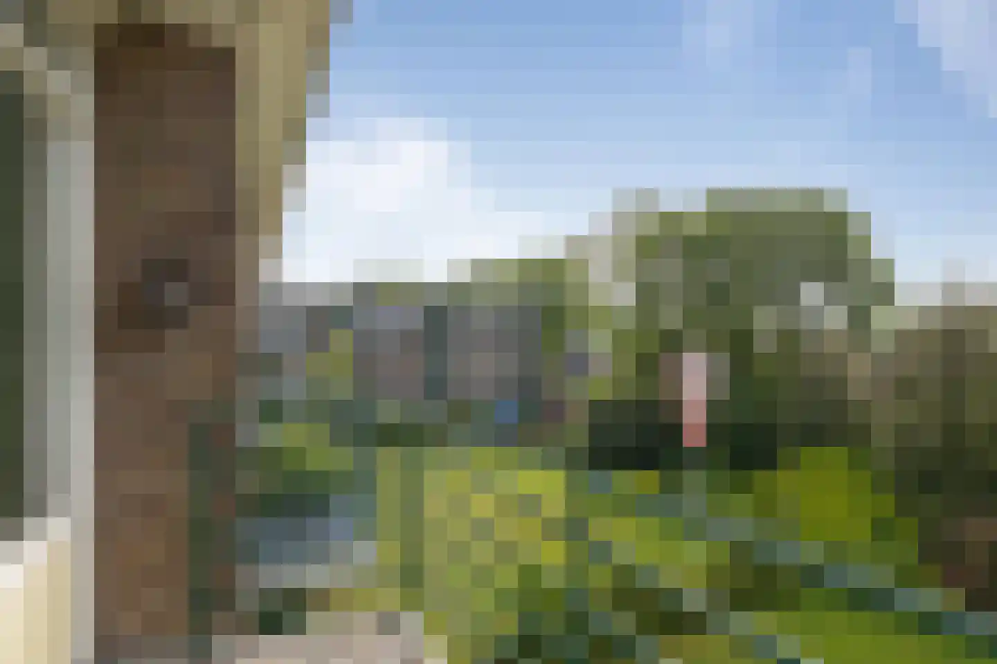 Dopheide 12 Emmen thumbnail 16