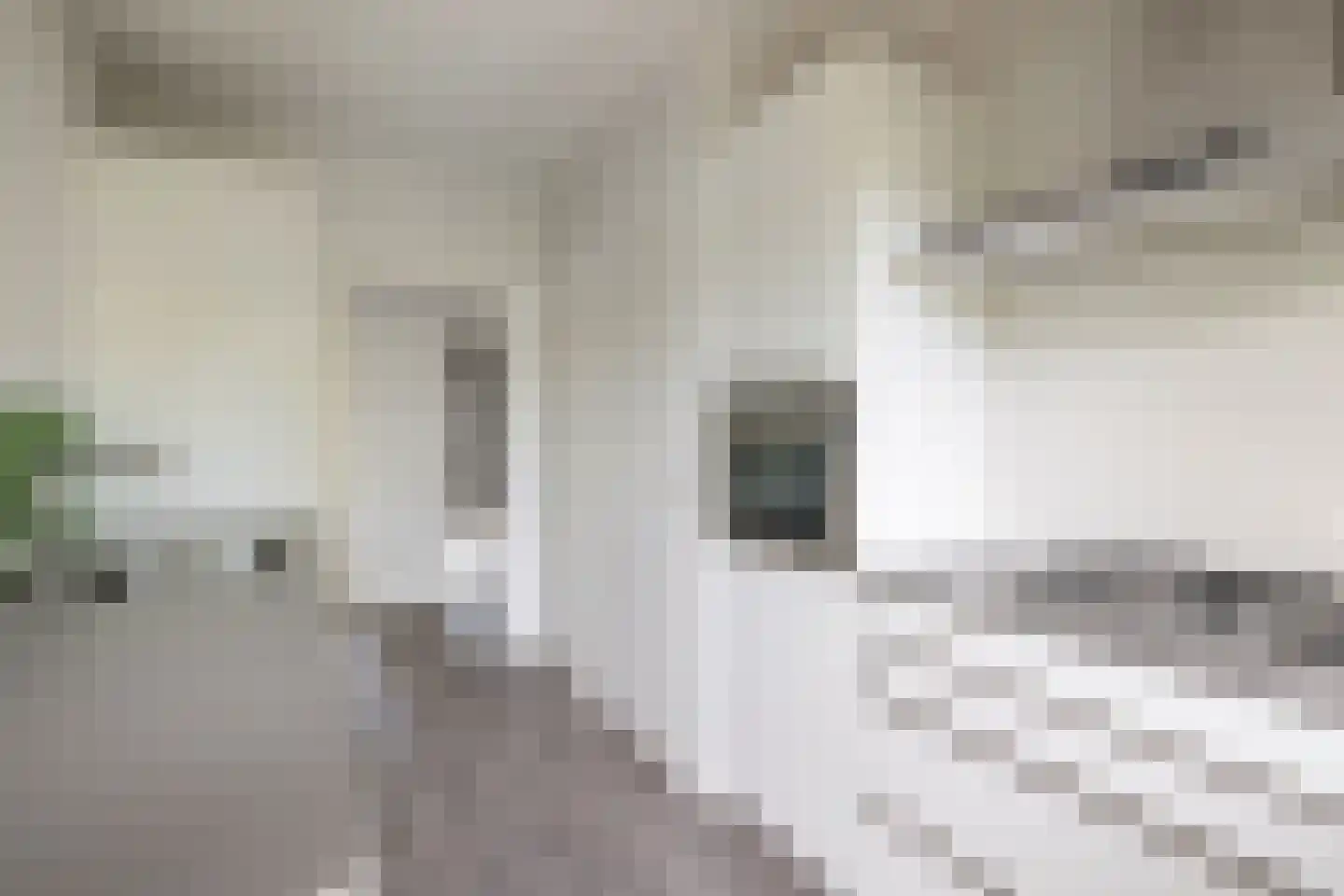 Dopheide 12 Emmen thumbnail 25