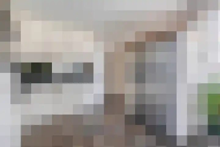 Dopheide 15 Meijel thumbnail 12