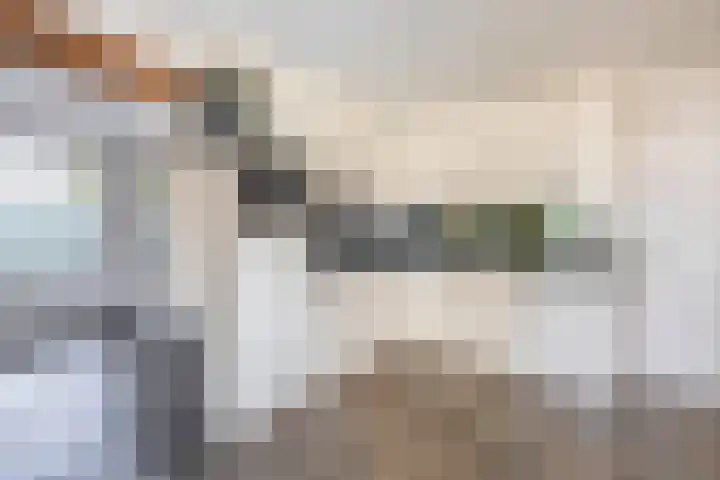 Dopheide 15 Meijel thumbnail 13
