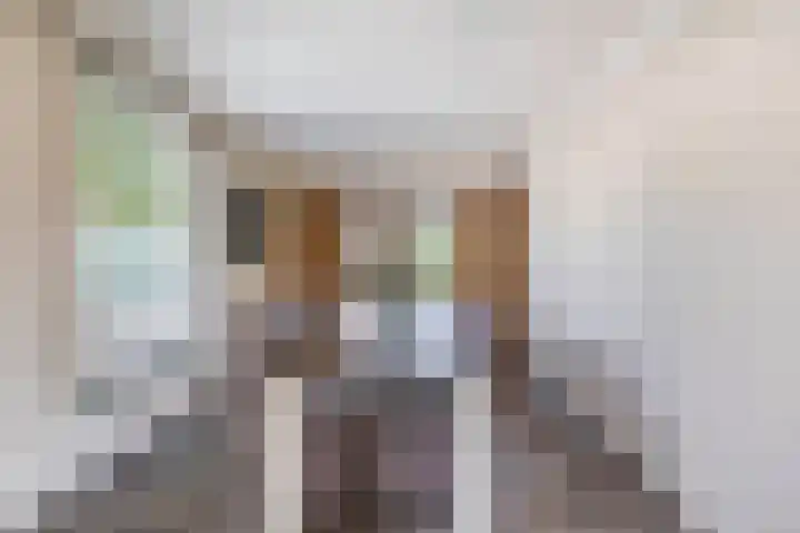 Dopheide 15 Meijel thumbnail 14
