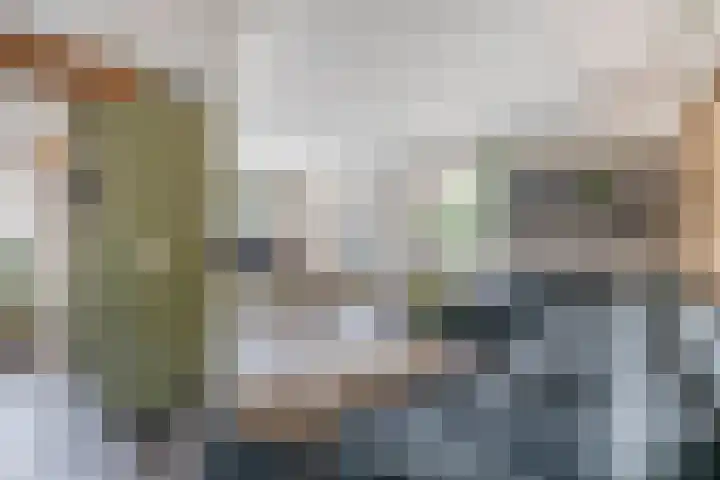 Dopheide 15 Meijel thumbnail 15