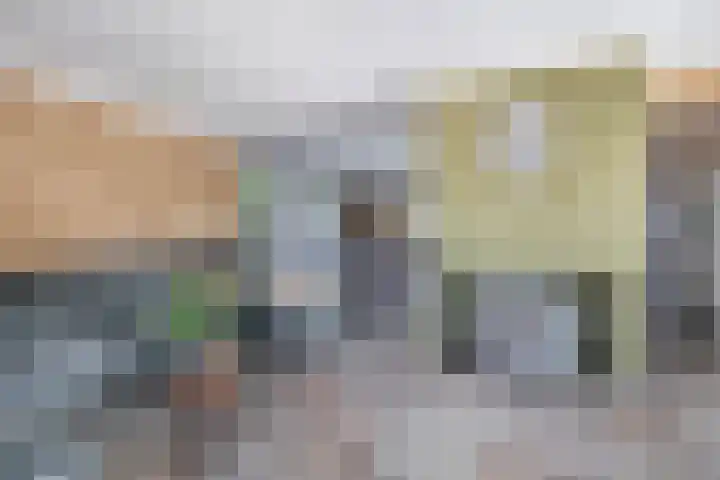 Dopheide 15 Meijel thumbnail 16