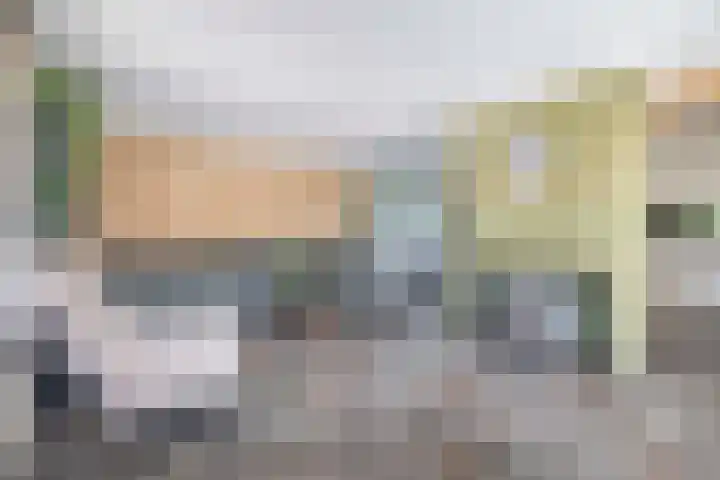 Dopheide 15 Meijel thumbnail 17
