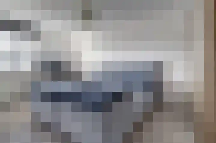 Dopheide 15 Meijel thumbnail 19