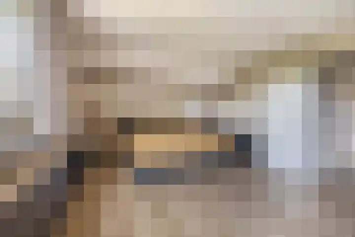 Dopheide 15 Meijel thumbnail 27