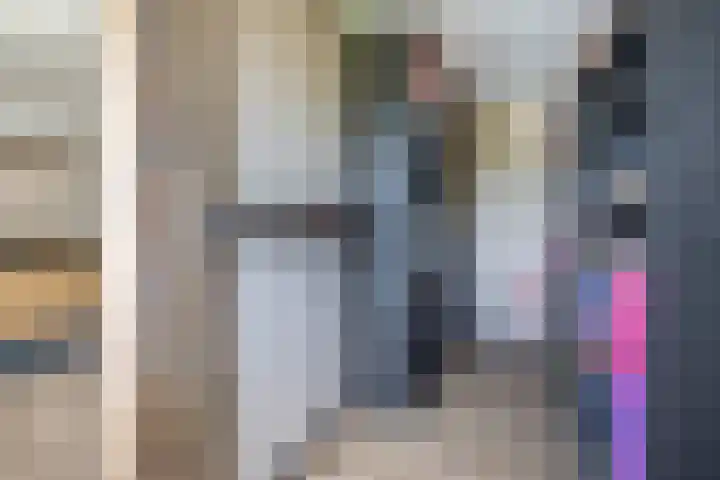 Dopheide 15 Meijel thumbnail 28