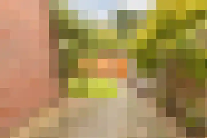 Dopheide 15 Meijel thumbnail 29