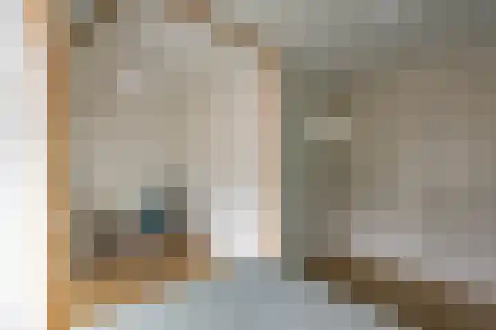 Dopheide 15 Meijel thumbnail 34