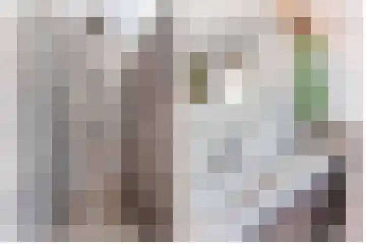 Dopheide 15 Meijel thumbnail 35