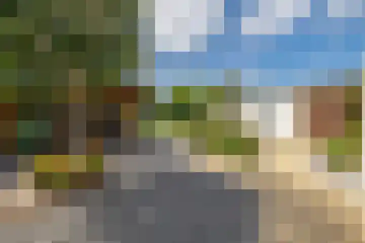 Dopheide 15 Meijel thumbnail 41