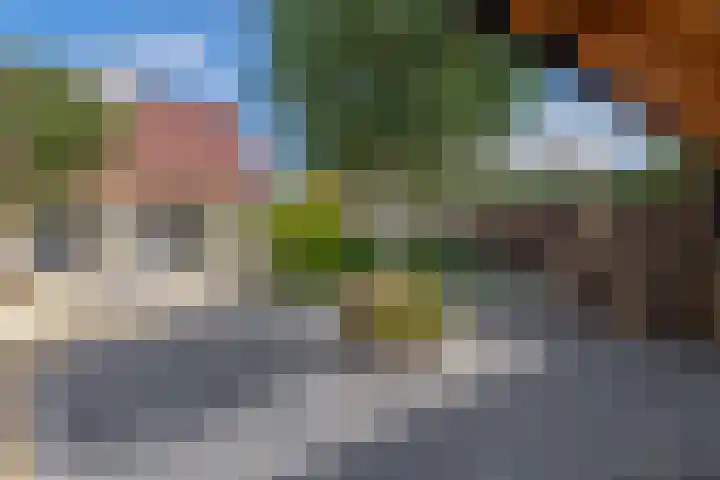 Dopheide 15 Meijel thumbnail 44