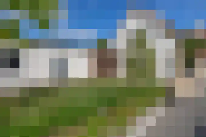 Dopheide 15 Meijel thumbnail 49