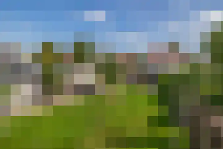 Dopheide 15 Meijel thumbnail 52