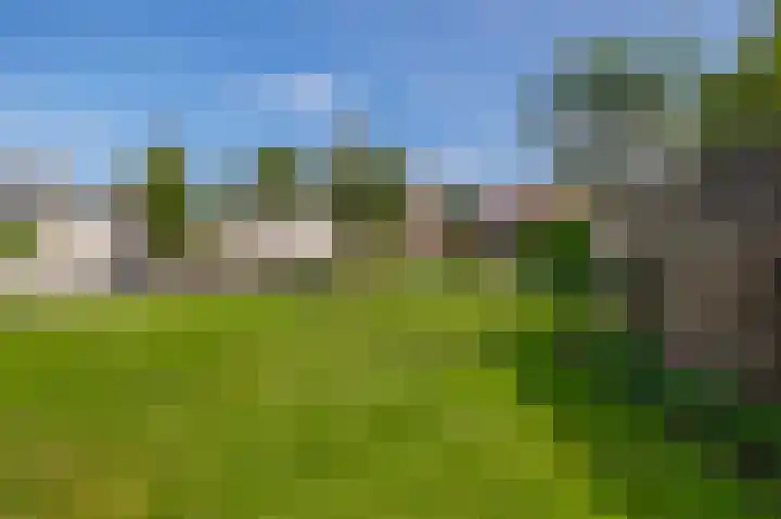 Dopheide 15 Meijel thumbnail 53