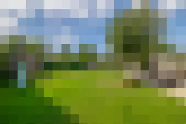 Dopheide 15 Meijel thumbnail 55
