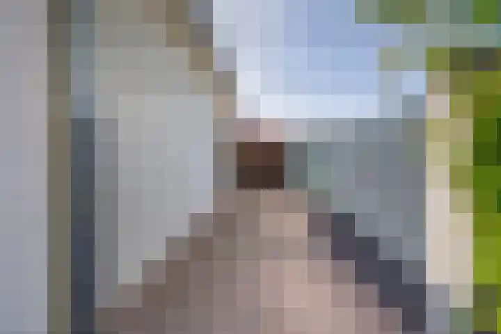 Dopheide 15 Meijel thumbnail 57
