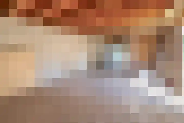 Dopheide 15 Meijel thumbnail 59