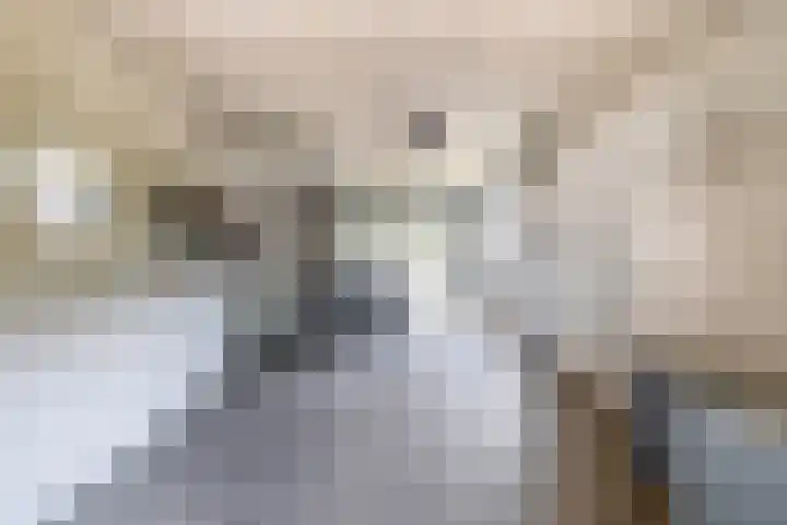 Dopheide 15 Meijel thumbnail 60
