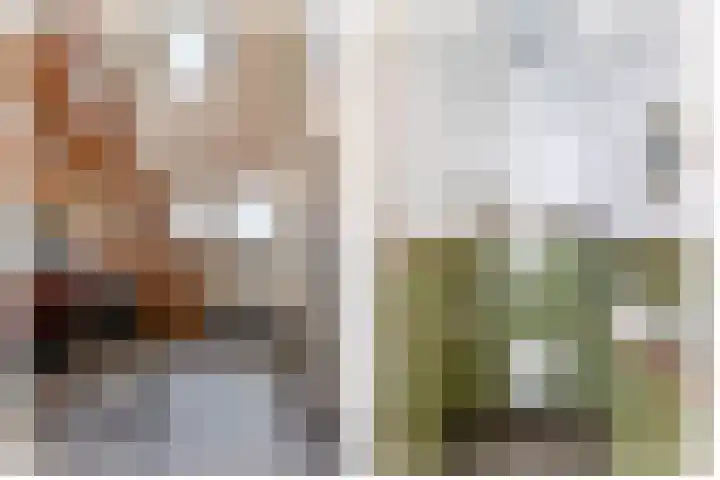 Dopheide 15 Meijel thumbnail 9