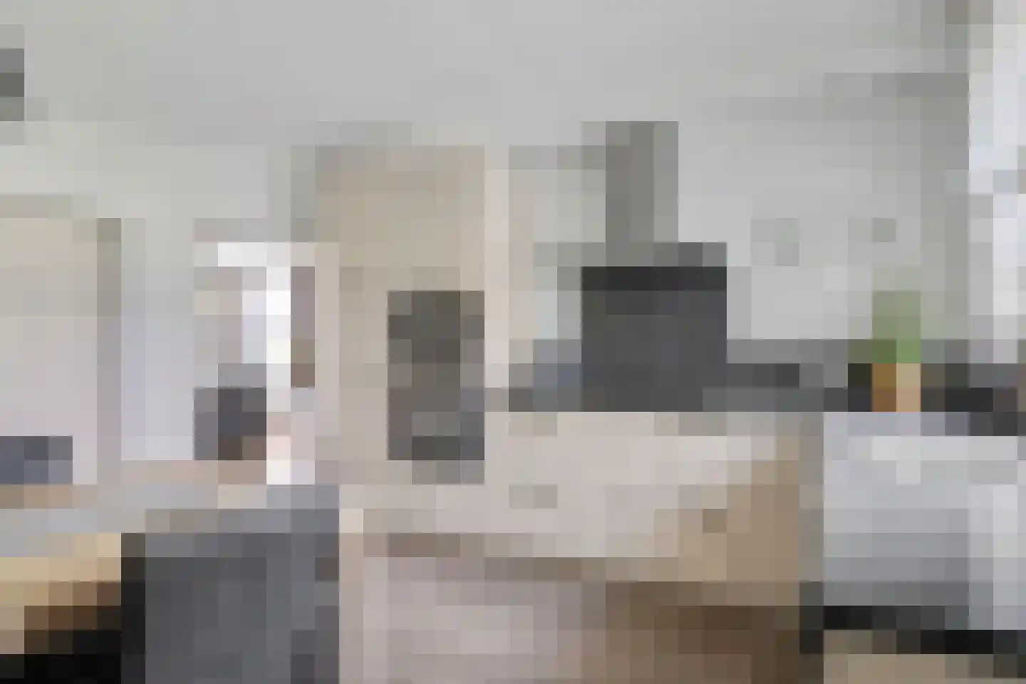 Dopheide 17 Meijel thumbnail 13