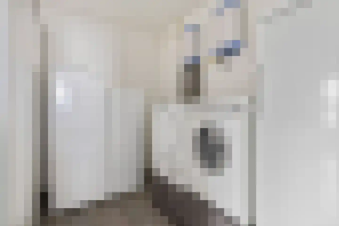 Dopheide 17 Meijel thumbnail 19