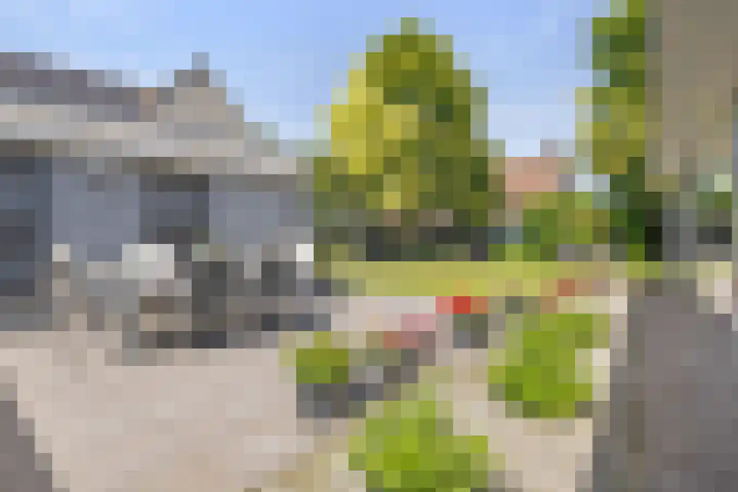 Dopheide 17 Meijel thumbnail 4