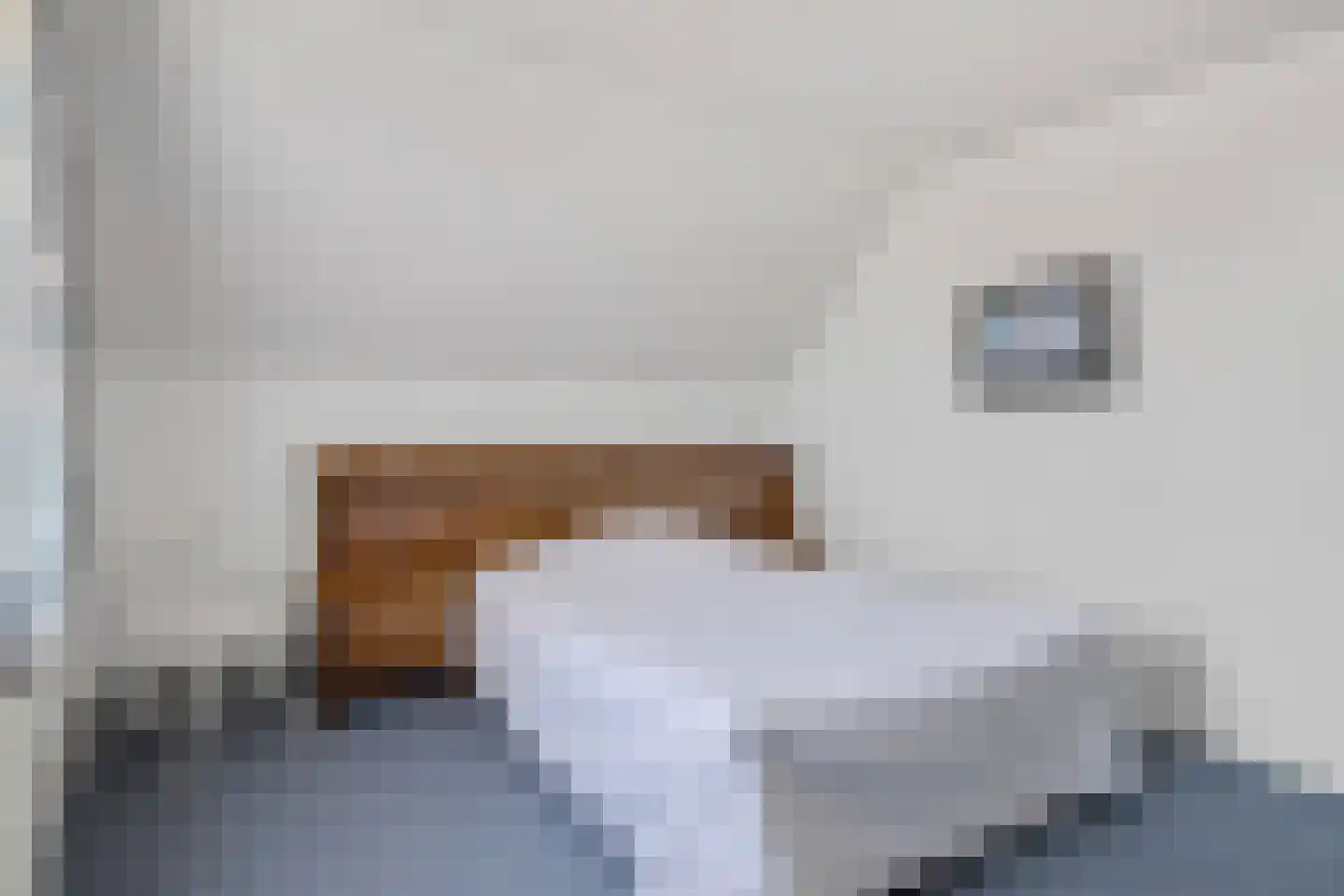 Dopheide 17 Meijel thumbnail 40
