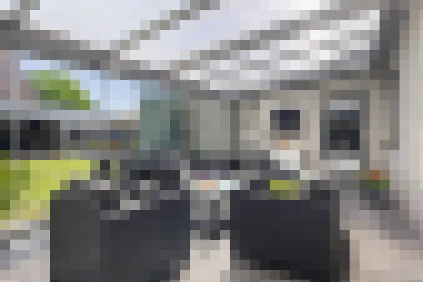 Dopheide 17 Meijel thumbnail 46