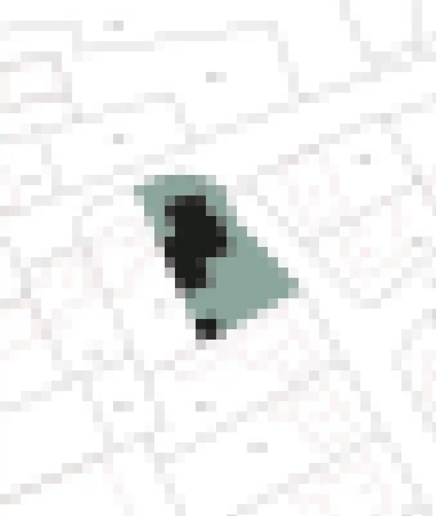 Dopheide 17 Meijel thumbnail 77