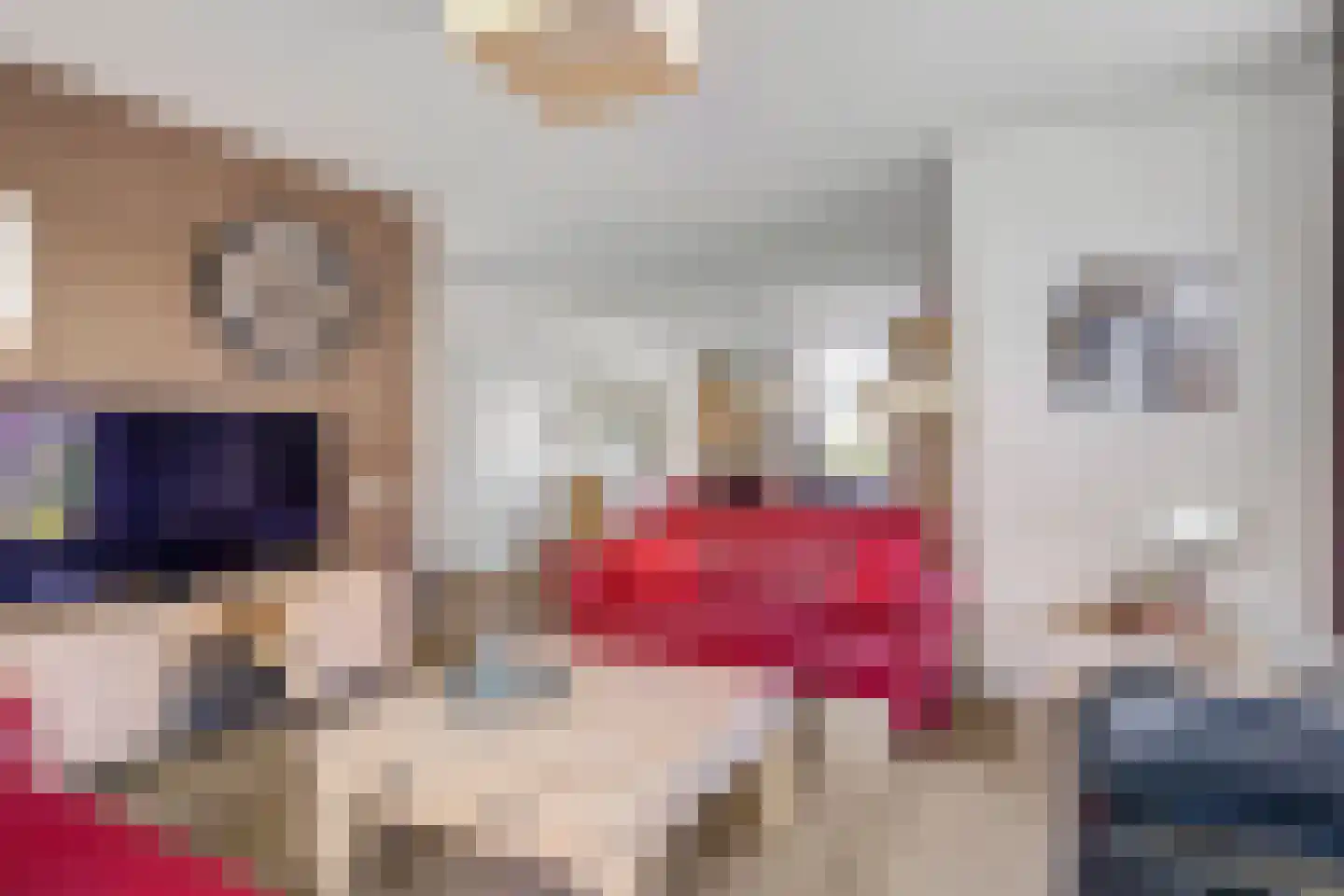 Dopheide 17 Meijel thumbnail 9
