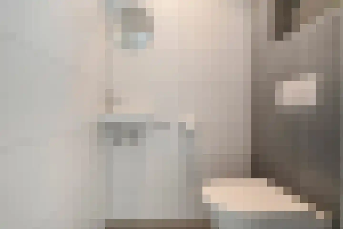 Dopheide 18 Julianadorp thumbnail 13