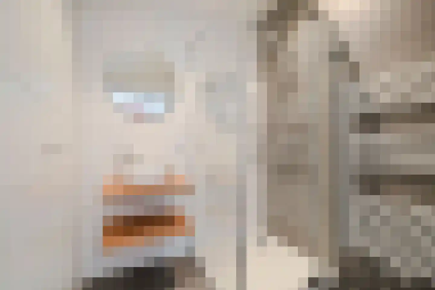 Dopheide 18 Julianadorp thumbnail 14