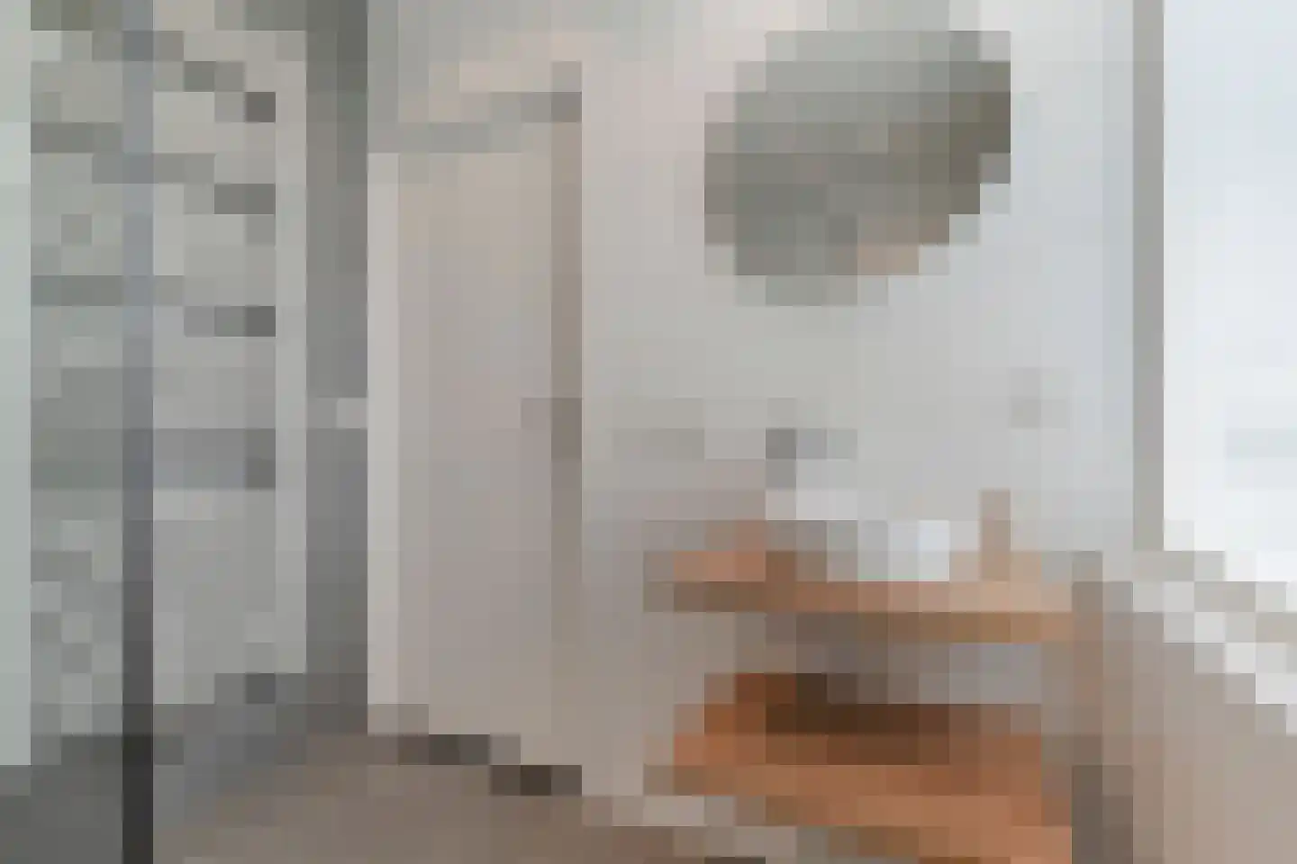 Dopheide 18 Julianadorp thumbnail 17
