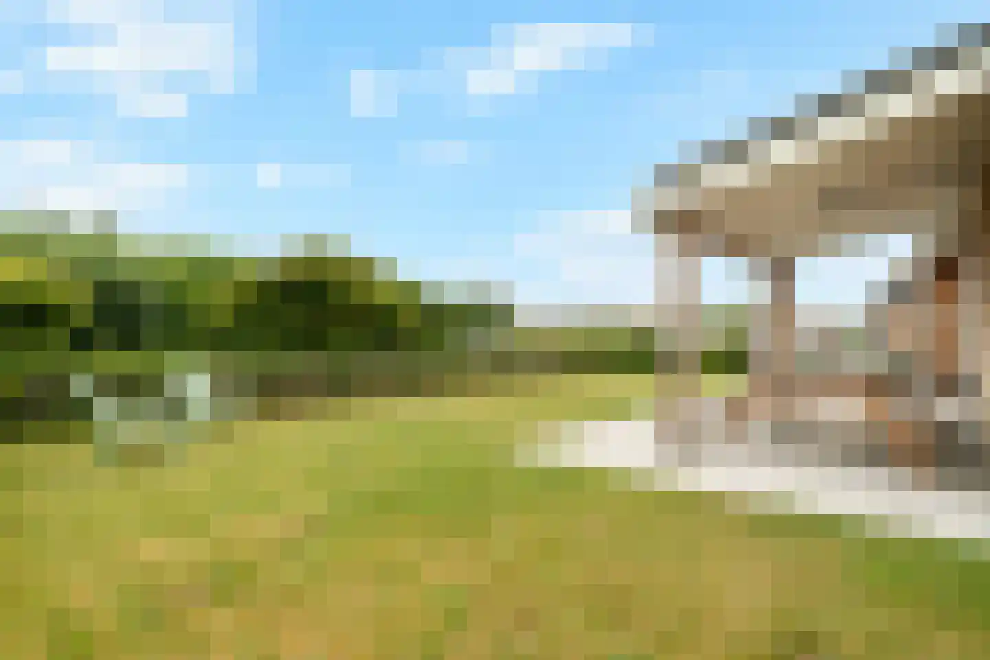 Dopheide 18 Julianadorp thumbnail 28
