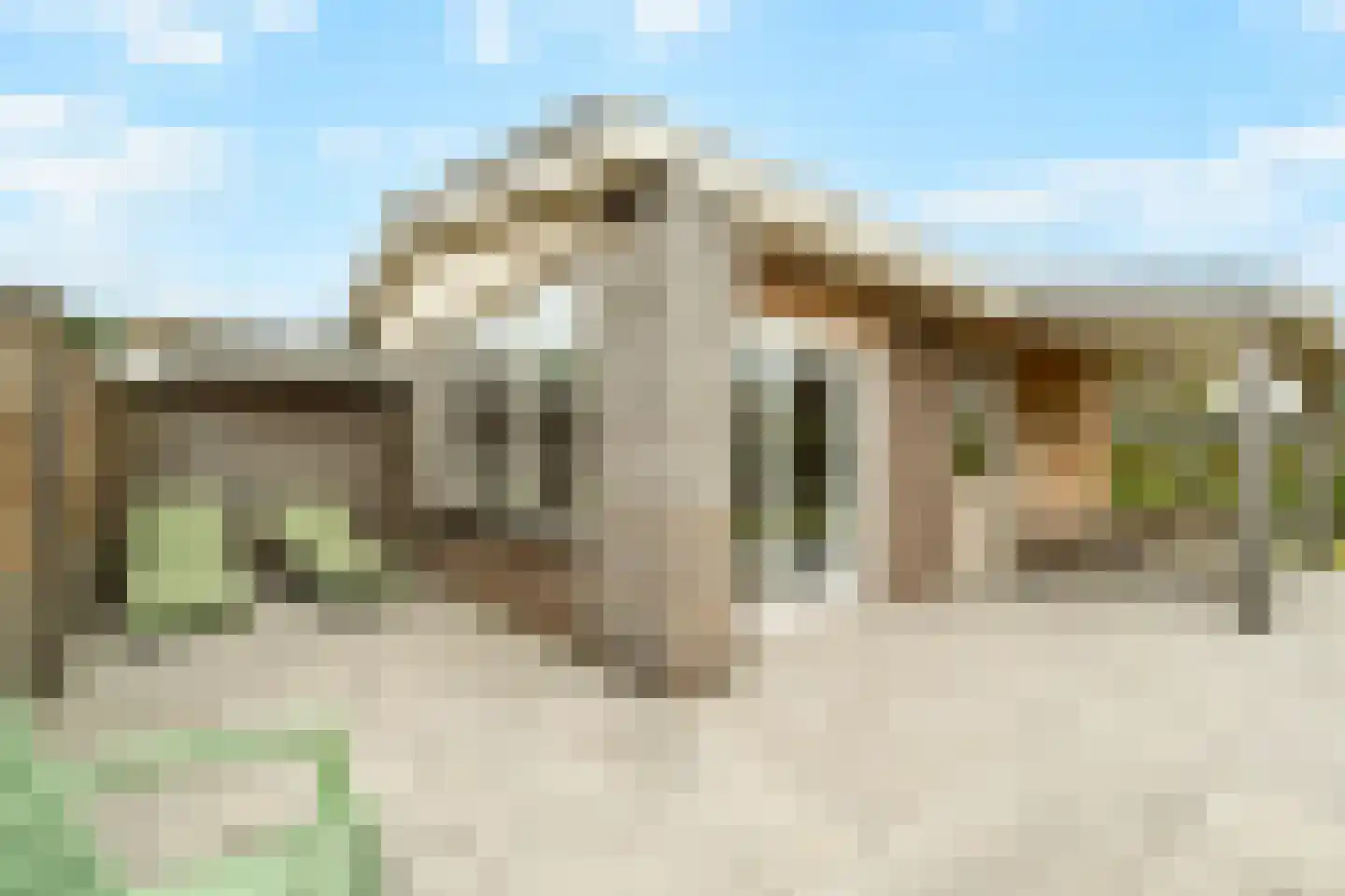 Dopheide 18 Julianadorp thumbnail 29